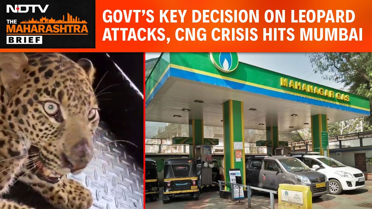 Maharashtra News | Maharashtra&rsquo;s Key Decision On Leopard Attacks | CNG Shortage Hits Mumbai