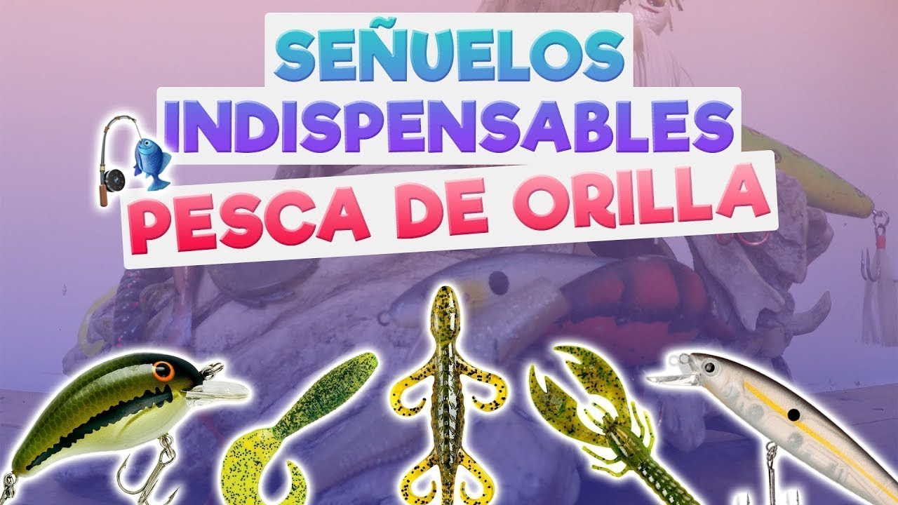 5 MEJORES SEÑUELOS para pescar LOBINA DE ORILLA y CÓMO USARLOS