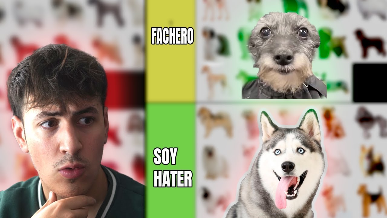 TIER LIST DE PERROS