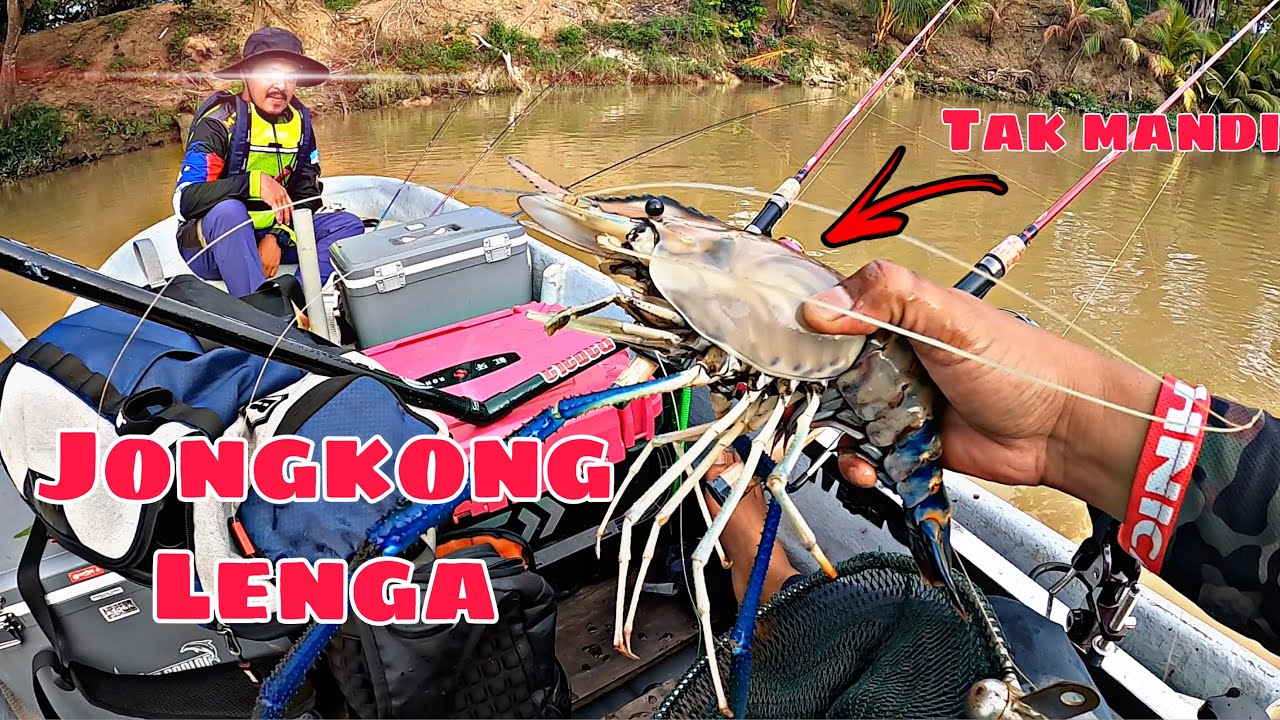 Saiz padu udang galah berjaya didaratkan!! | kampung lenga johor | mancing udang galah