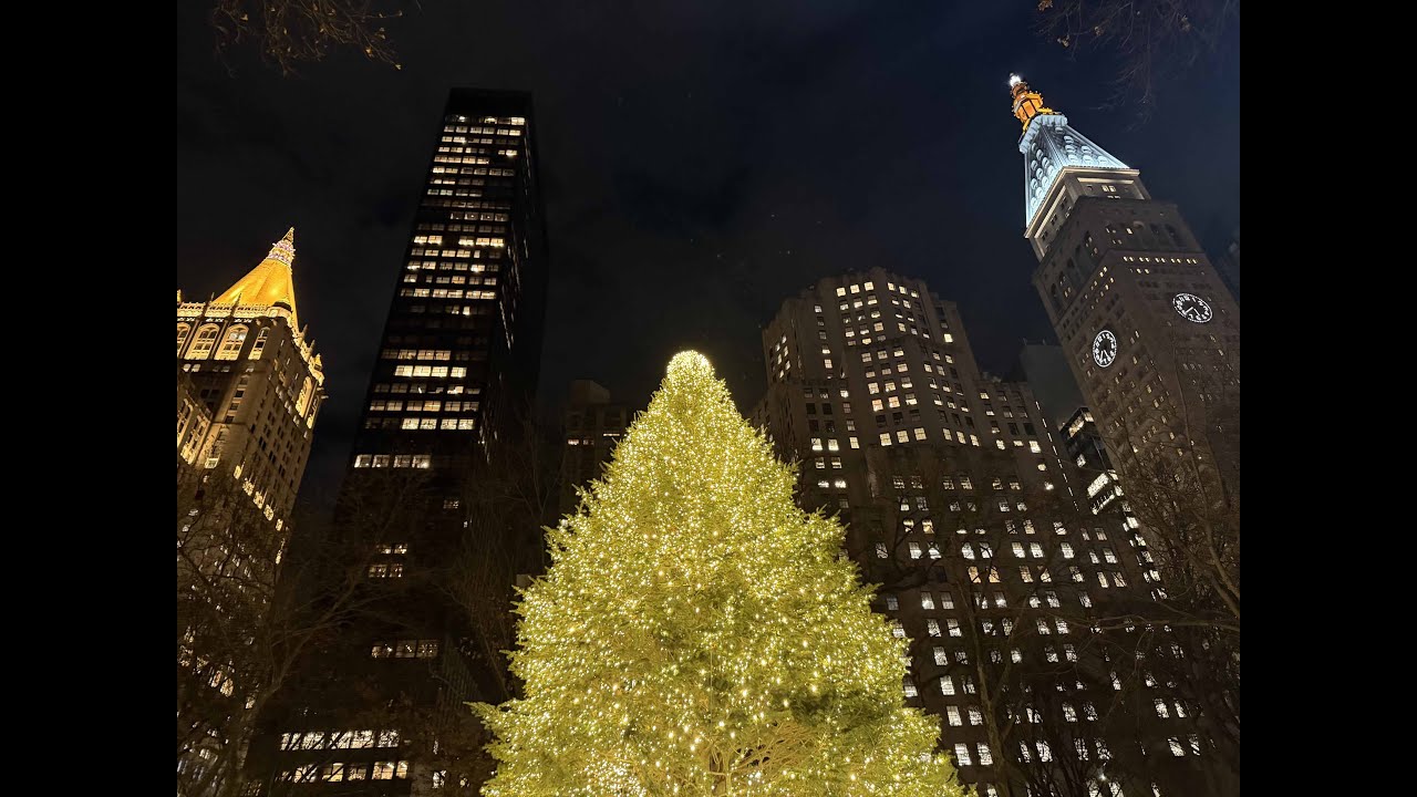 Madison Square Park Tree Lighting and other NYC IRL Winter stuff (Twitch VOD)