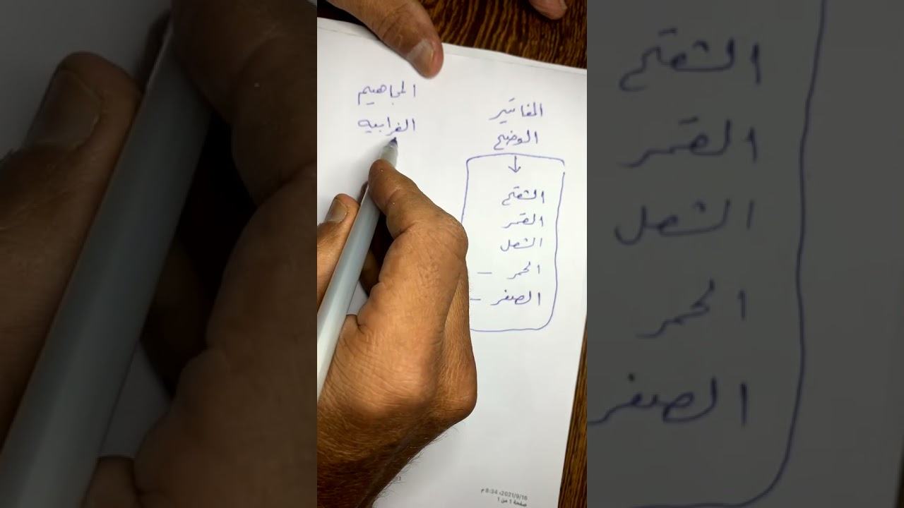 مقاطع الزين في الإبل
