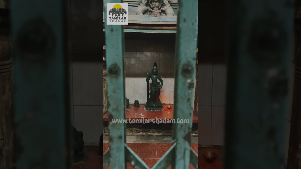 கல்லாக மாறிய சித்தர் | சேலம் சித்தர் கோவில் Salem siddhar kovil
