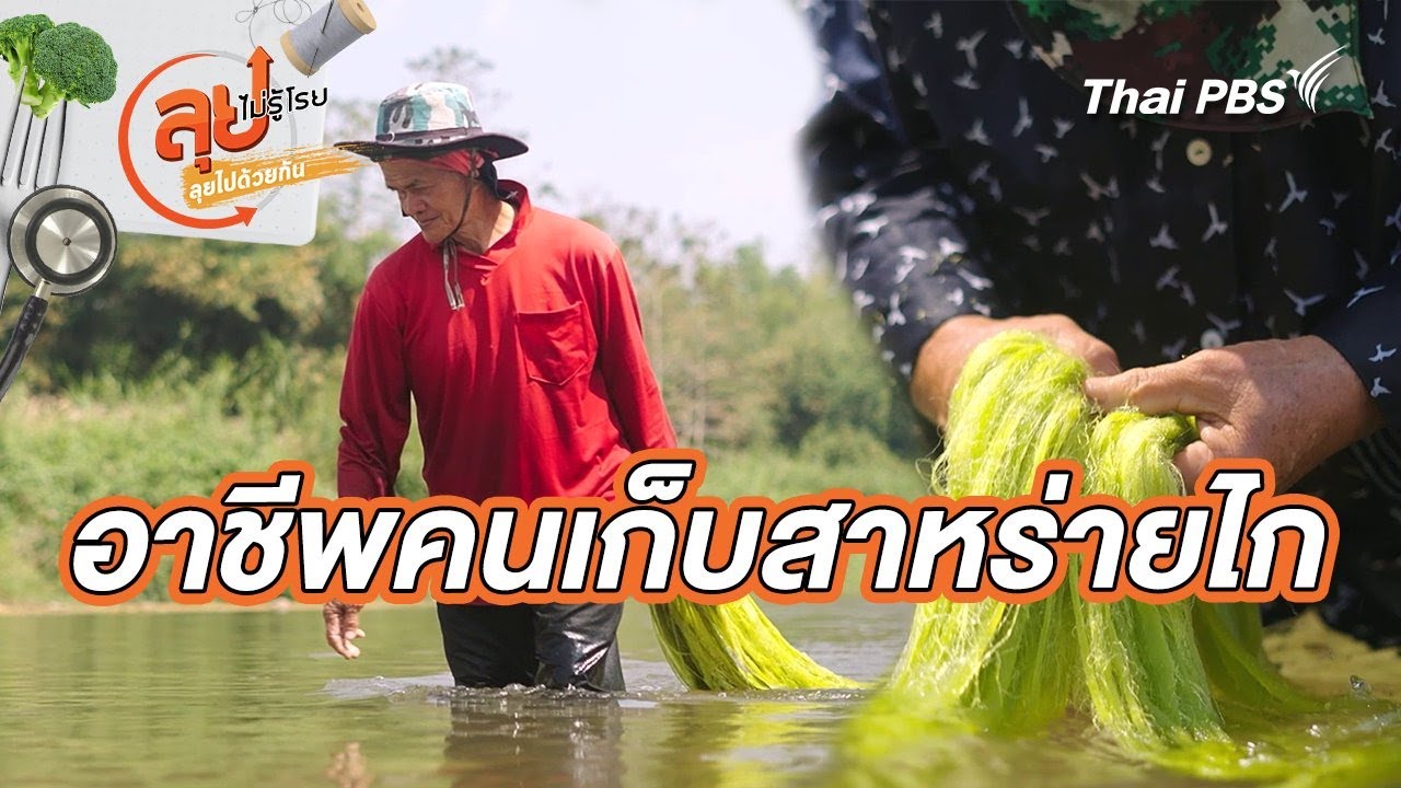 อาชีพคนเก็บสาหร่ายไก | ลุยไม่รู้โรย ลุยไปด้วยกัน