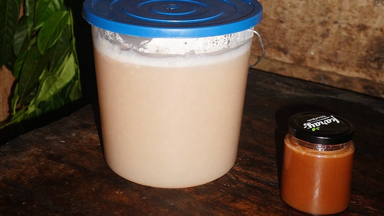 Baba de cacao - vino y miel