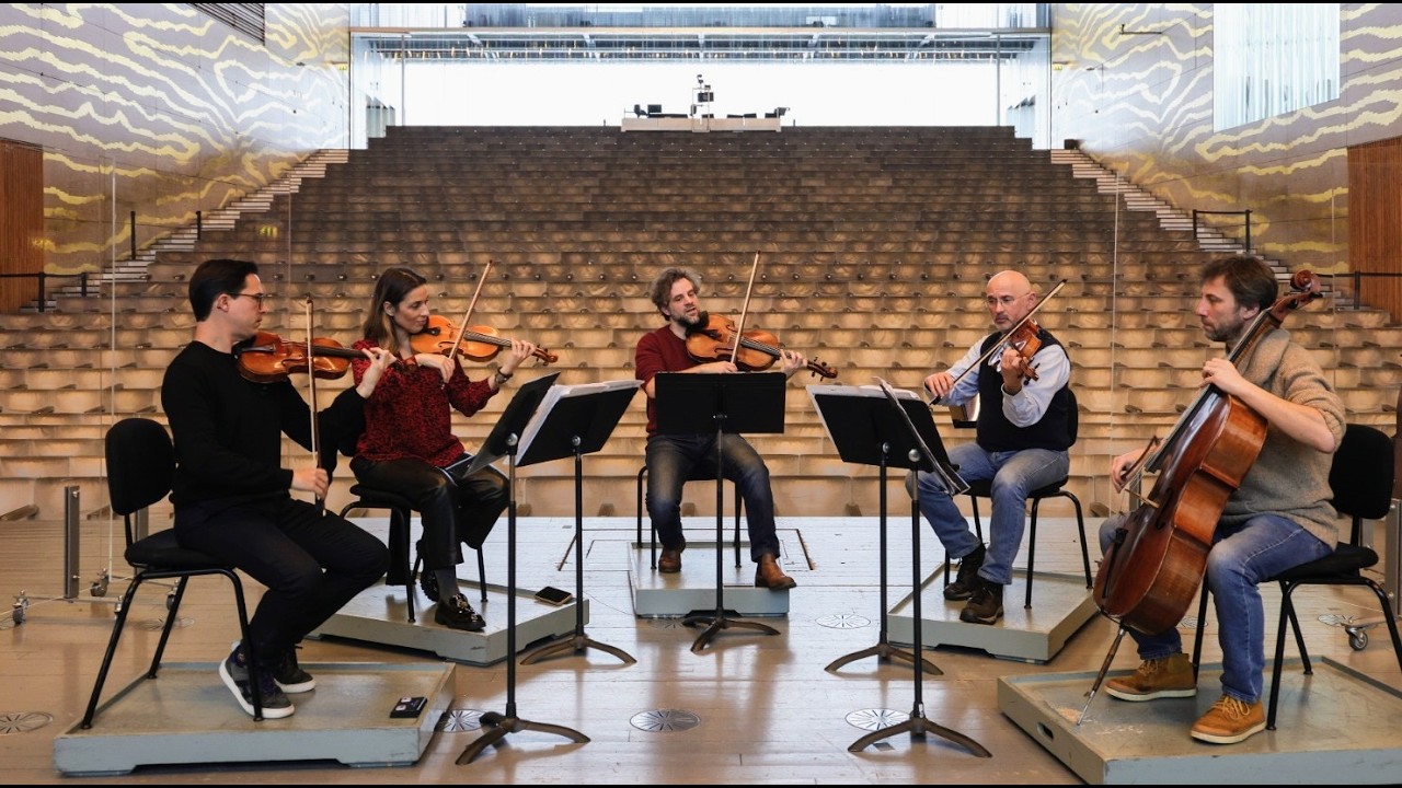 Solistas da Casa da Música em direto na Redação JN