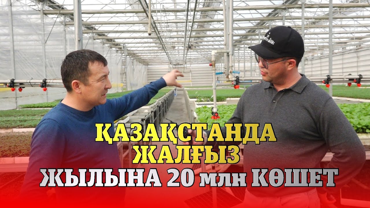 Қазақстанда жалғыз. Жылына 20 млн КӨШЕТ.