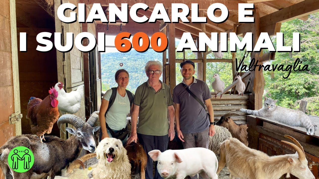 RIFUGIO ANIMALI FELICI. L'UOMO CHE HA SALVATO 600 ANIMALI