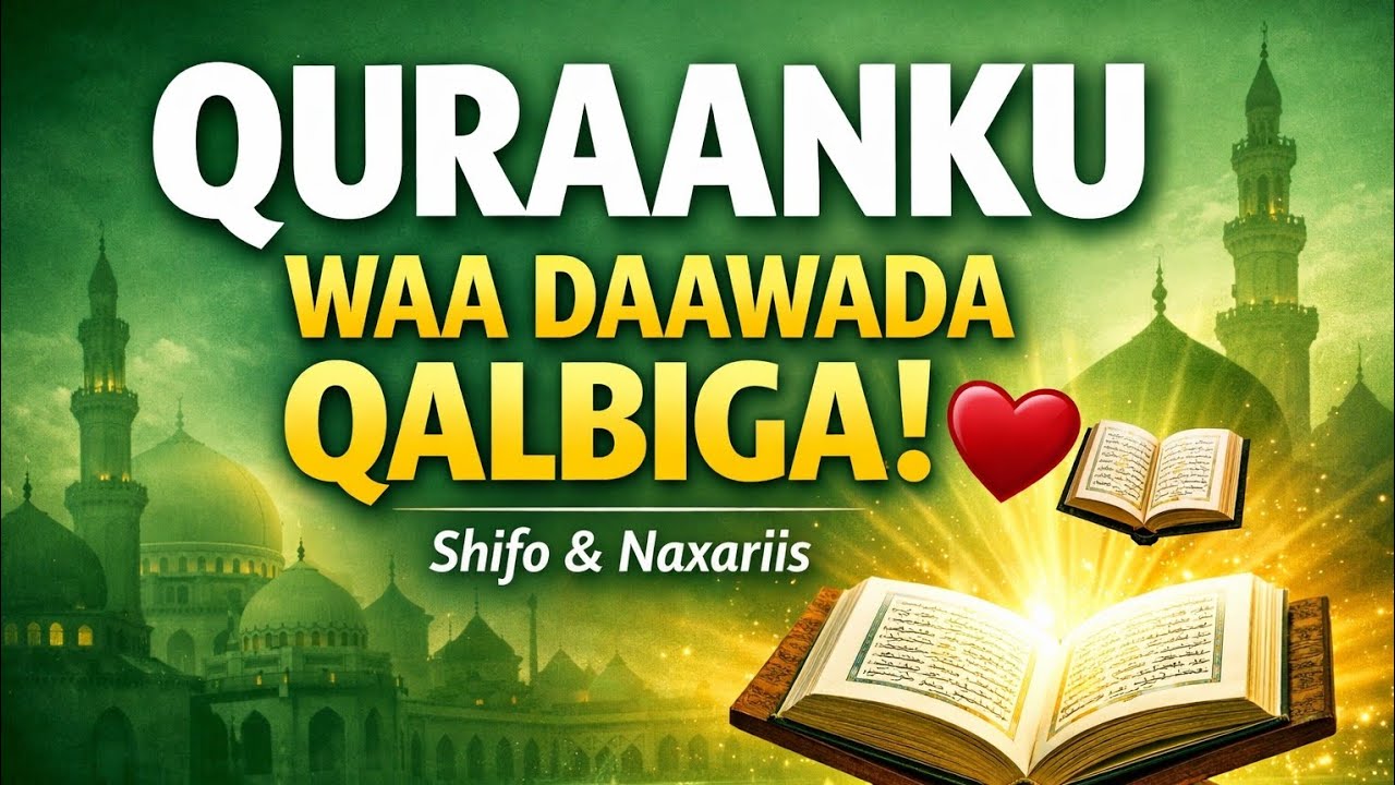 Quraanku Waa Daawada Qalbiga | Shifo & Naxariis | Qalbi Degan Hel
