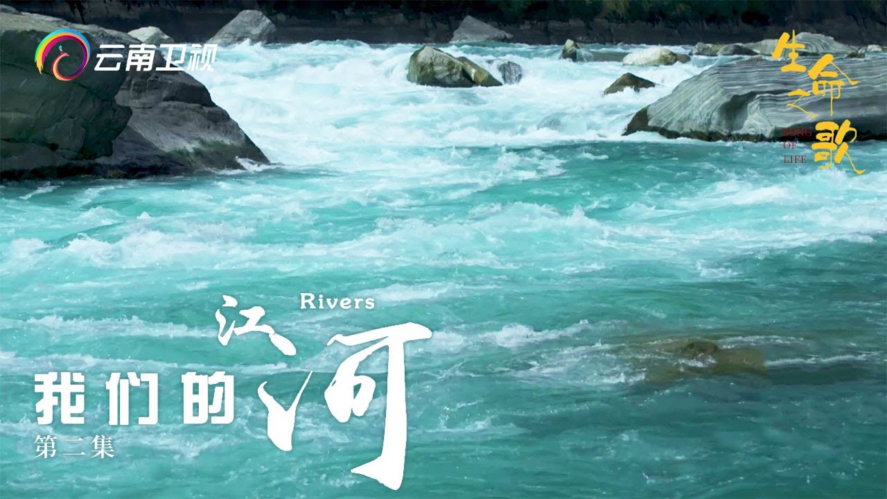 江河是大地的血脉！走近金沙江、澜沧江和怒江，触摸江河的脉动……【生命之歌】