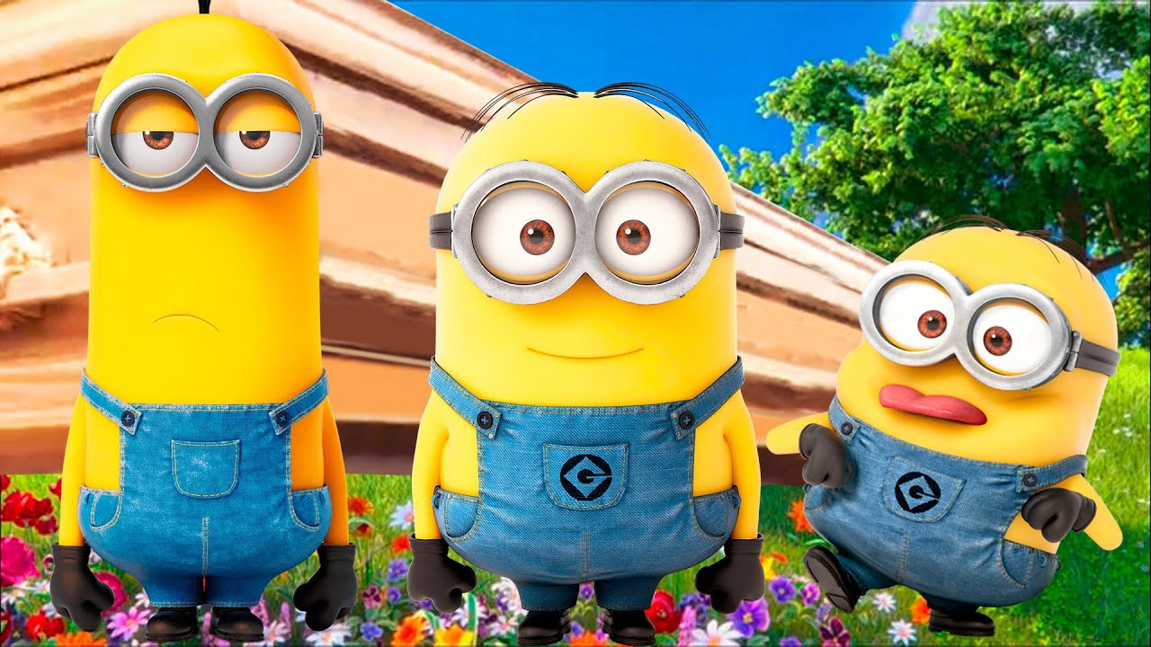 Despicable me - Coffin Dance Song [COVER]