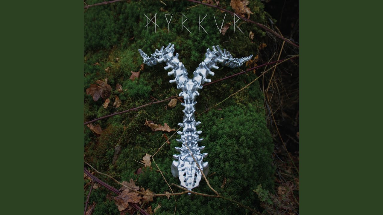 Spine