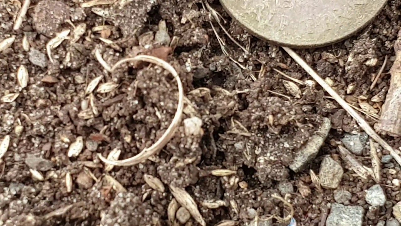 Found a vintage NSW Rego Plate!!