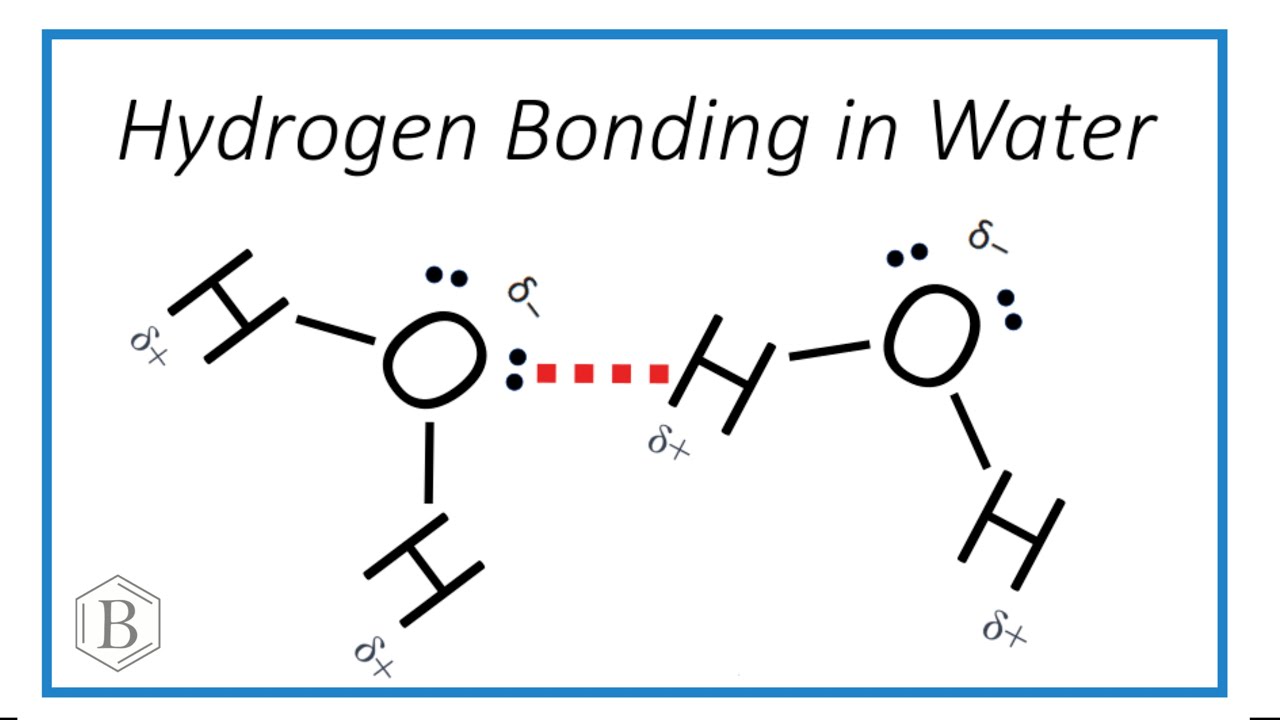 Two Water Molecules Forming Hydrogen Bonds