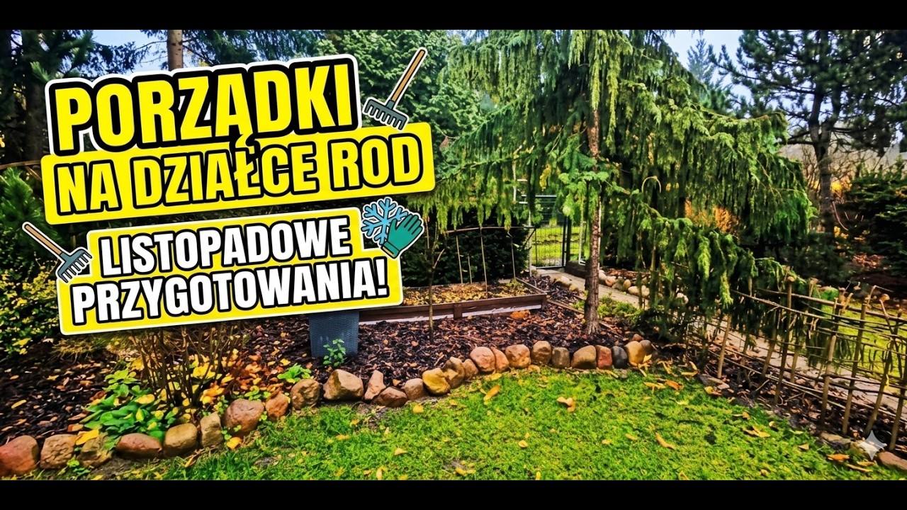 Moja działeczka typu R.O.D.  odc.  3 🌞🐝🌸🪴🐌