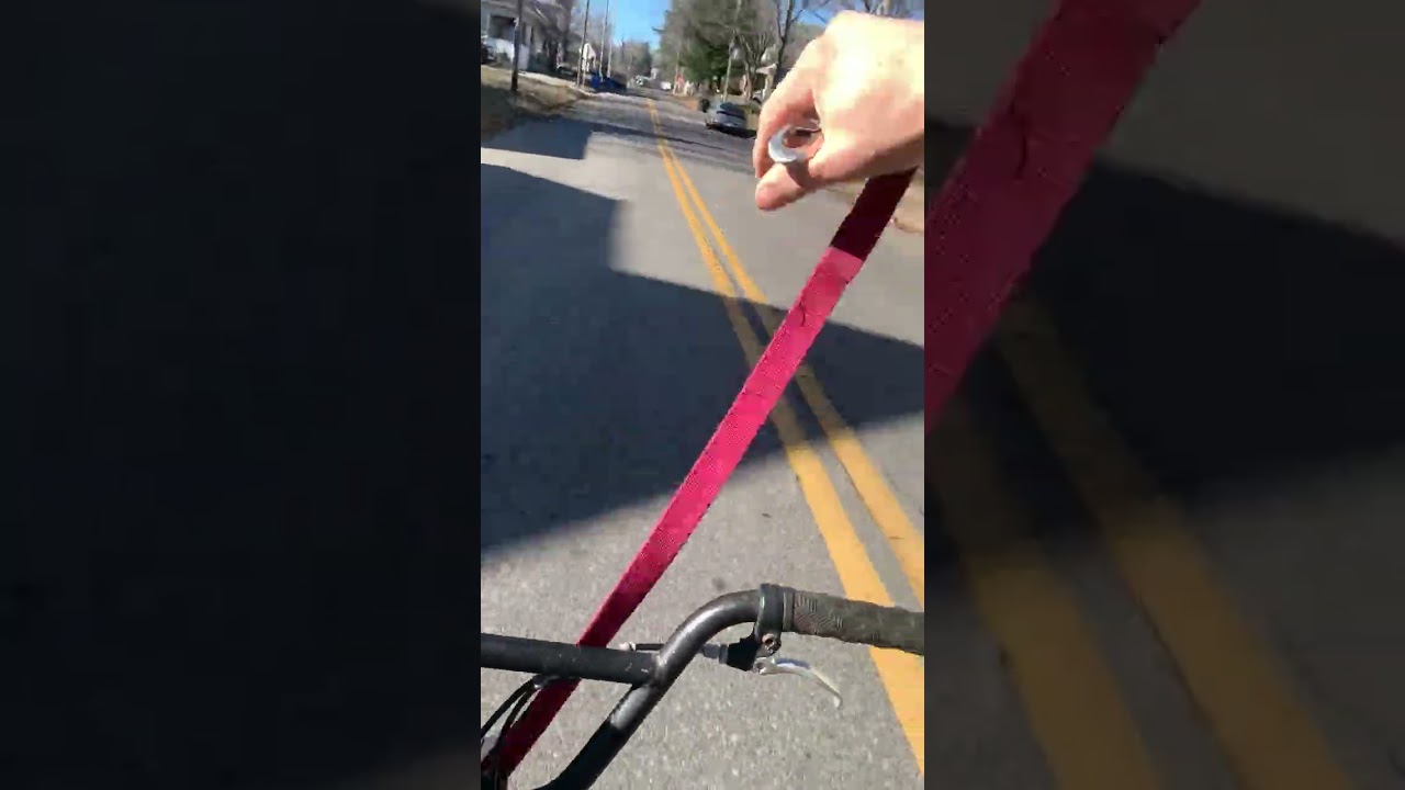Need a little practice all she wants to do is bite the leash but no crashes so it’s a success ￼