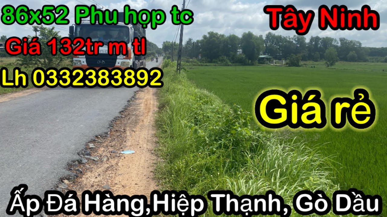 86x52 Gi&aacute; 132m tl nhẹ ,Ấp Đ&aacute; H&agrave;ng,Hiệp Thạnh , G&ograve; Dầu #t&acirc;yninh 39