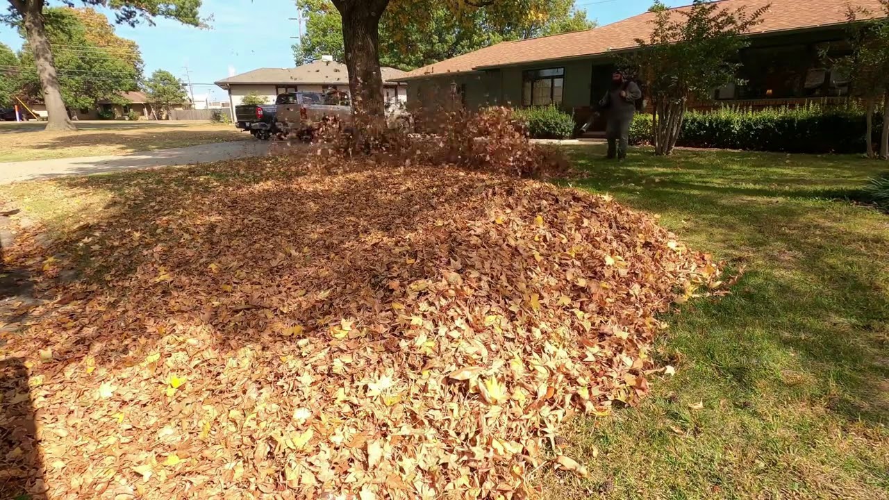 beautiful relaxing leaf removal / start to finish leaf clean up with calming music