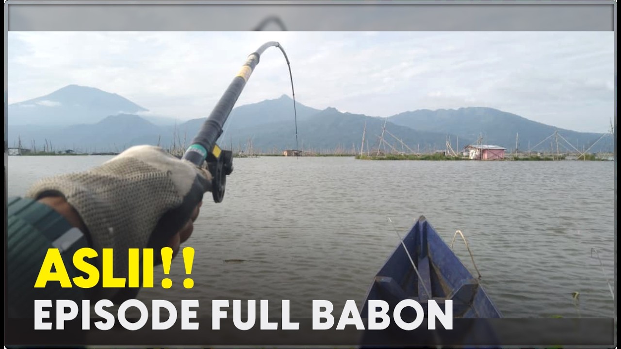 Tak Disangka‼️ Hanya Di Spot Ini Babon Datang Berturut-turut Tanpa Jeda 🎣🔥 #rawapeningterbaru