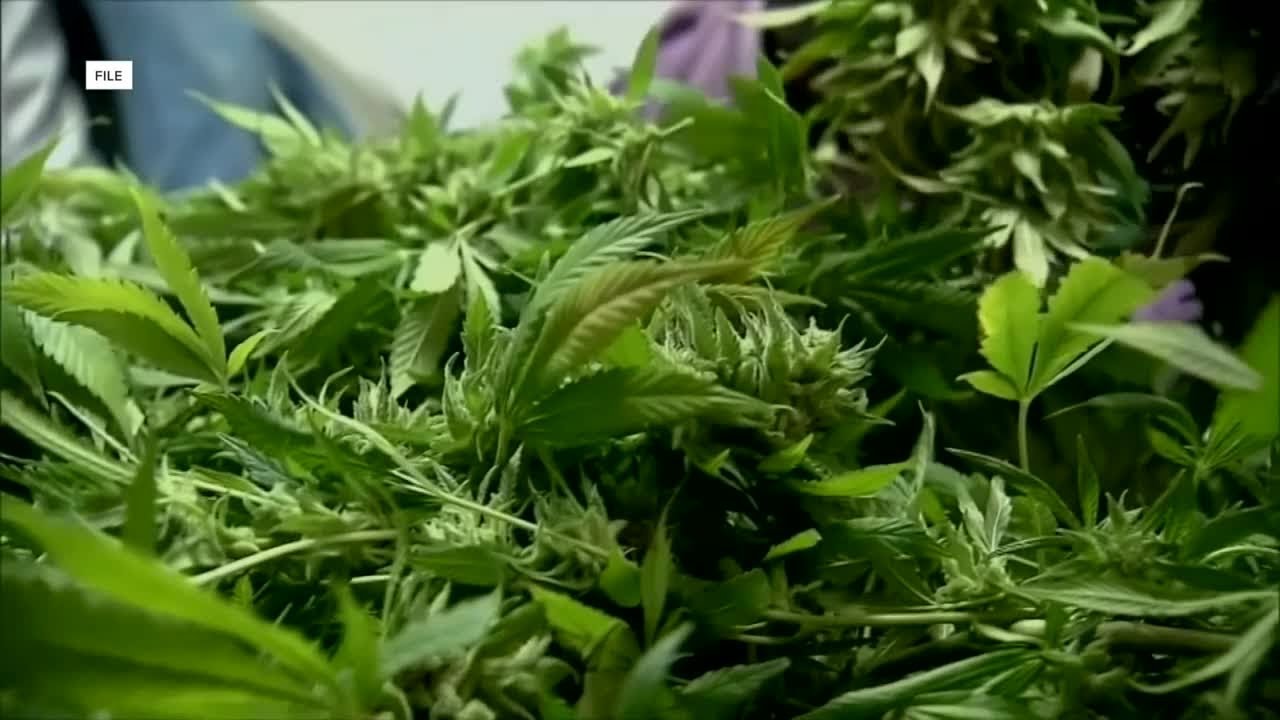 Nebraska Medical Cannabis Commission issues state's first cultivator licenses