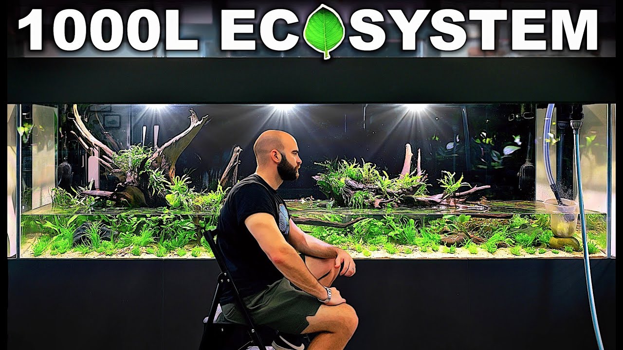 How To Make An Ecosystem Aquarium - DETAILED GUIDE [EP2]