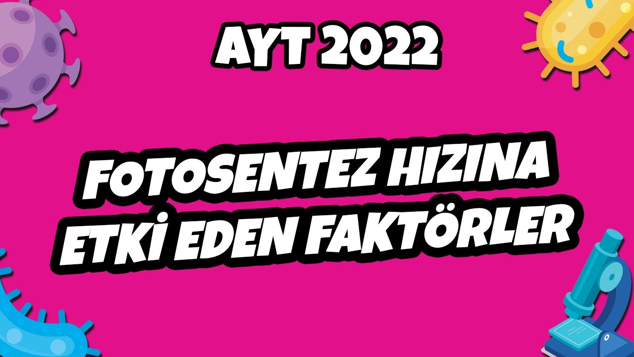 AYT Biyoloji - Fotosentez Hızına Etki Eden Faktörler | AYT Biyoloji 2022 #hedefekoş