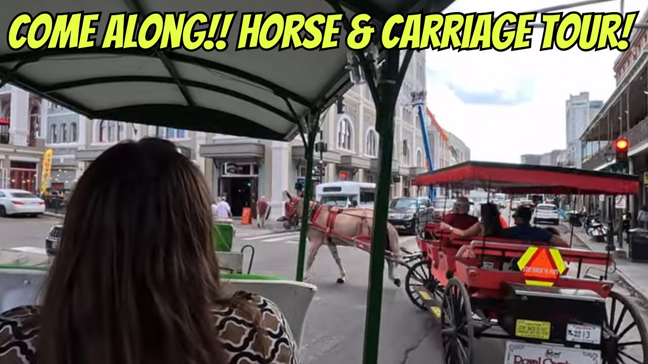 COME ALONG!!  Awesome Horse & Carriage Tour Of New Orleans!! - City Tour