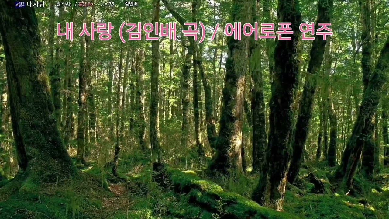 내 사랑(김인배 곡) / 에어로폰 연주(바이올린톤)