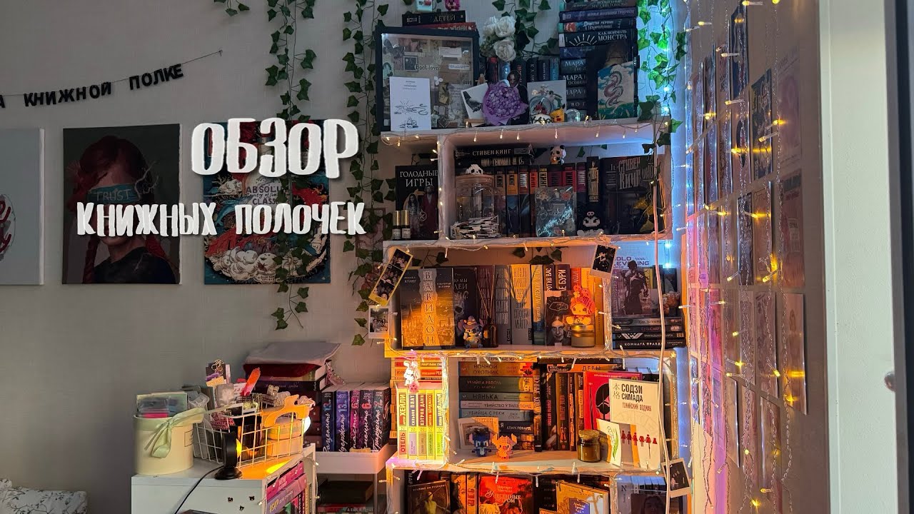 ОБЗОР КНИЖНЫХ СТЕЛЛАЖЕЙ 📚