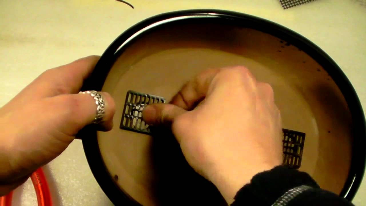 DansBonsai - Rinvaso 1 parte: preparazione del vaso