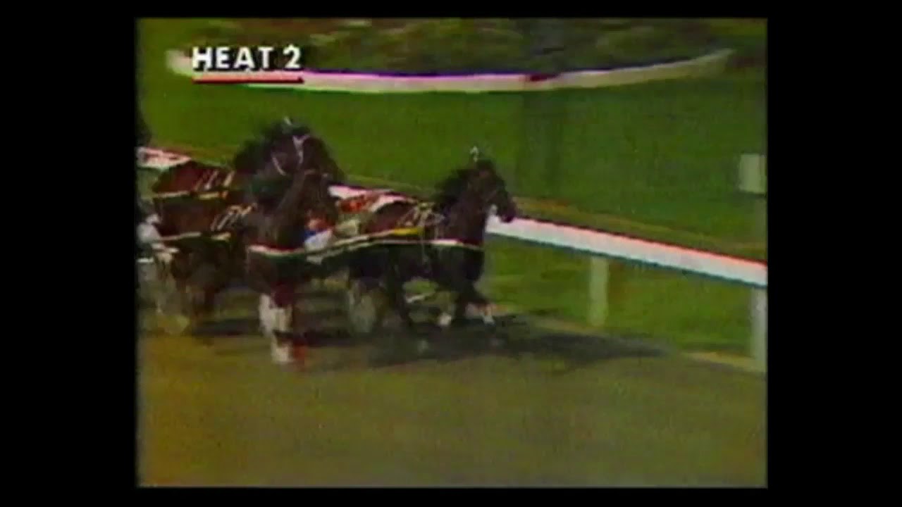 1989 Inter Dominion Night 1 - Paavo, Village Kid, Sinbad Bay