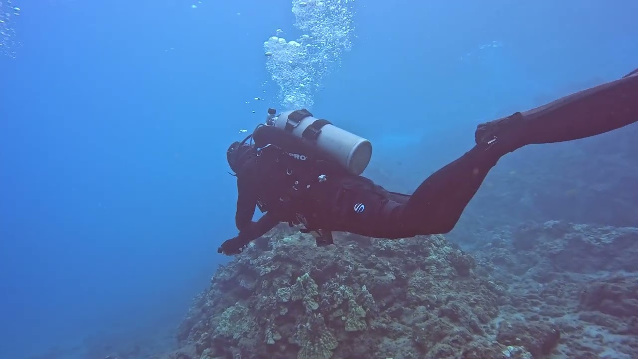 Black Rock morning dive 2/21/2026
