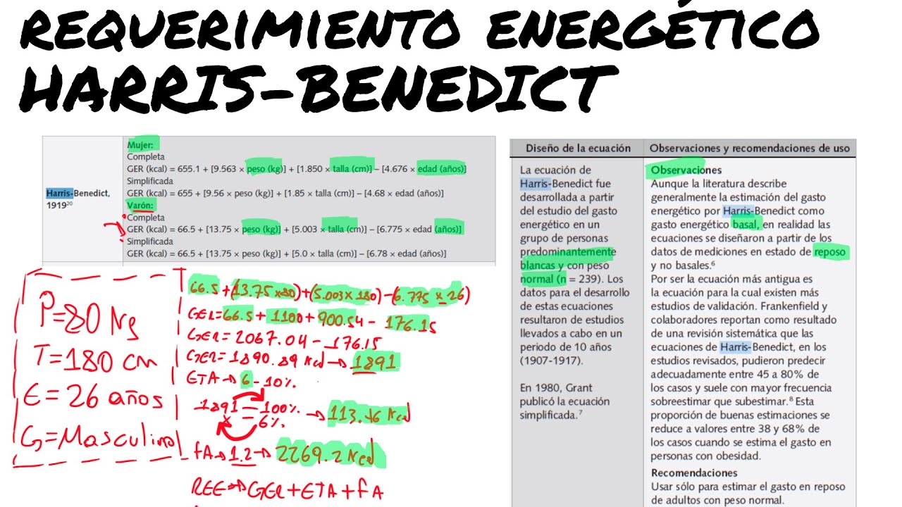 TALLER DE CÁLCULO NUTRICIONAL | REQUERIMIENTO ENERGÉTICO HARRIS