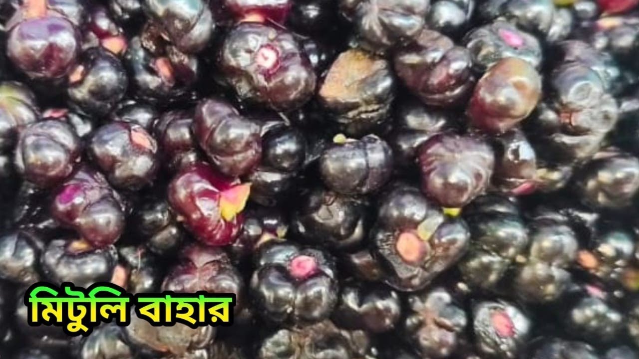 মিটুলি বাহার,সহজ উপকরণে সুন্দর একটি রান্না।#cooking #homemadefood #easycooking #recipevideo #food 