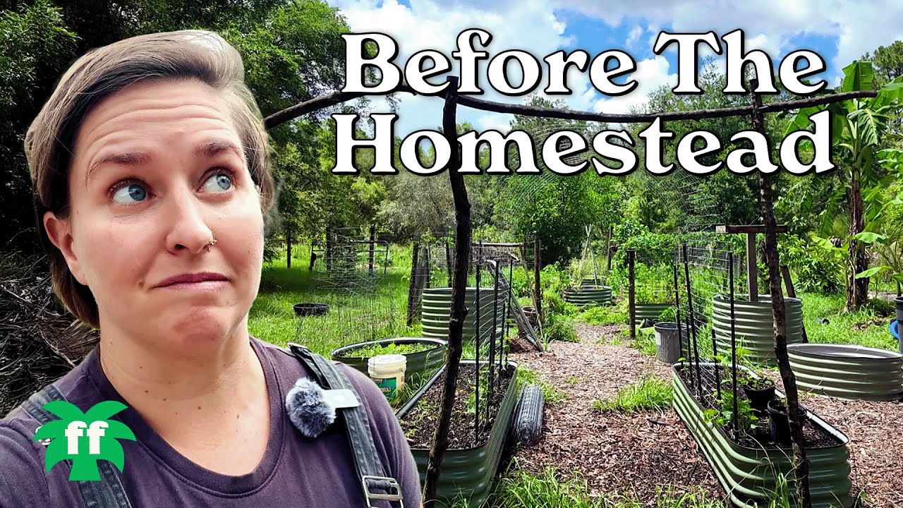 How I am Homesteading on Neglected Land