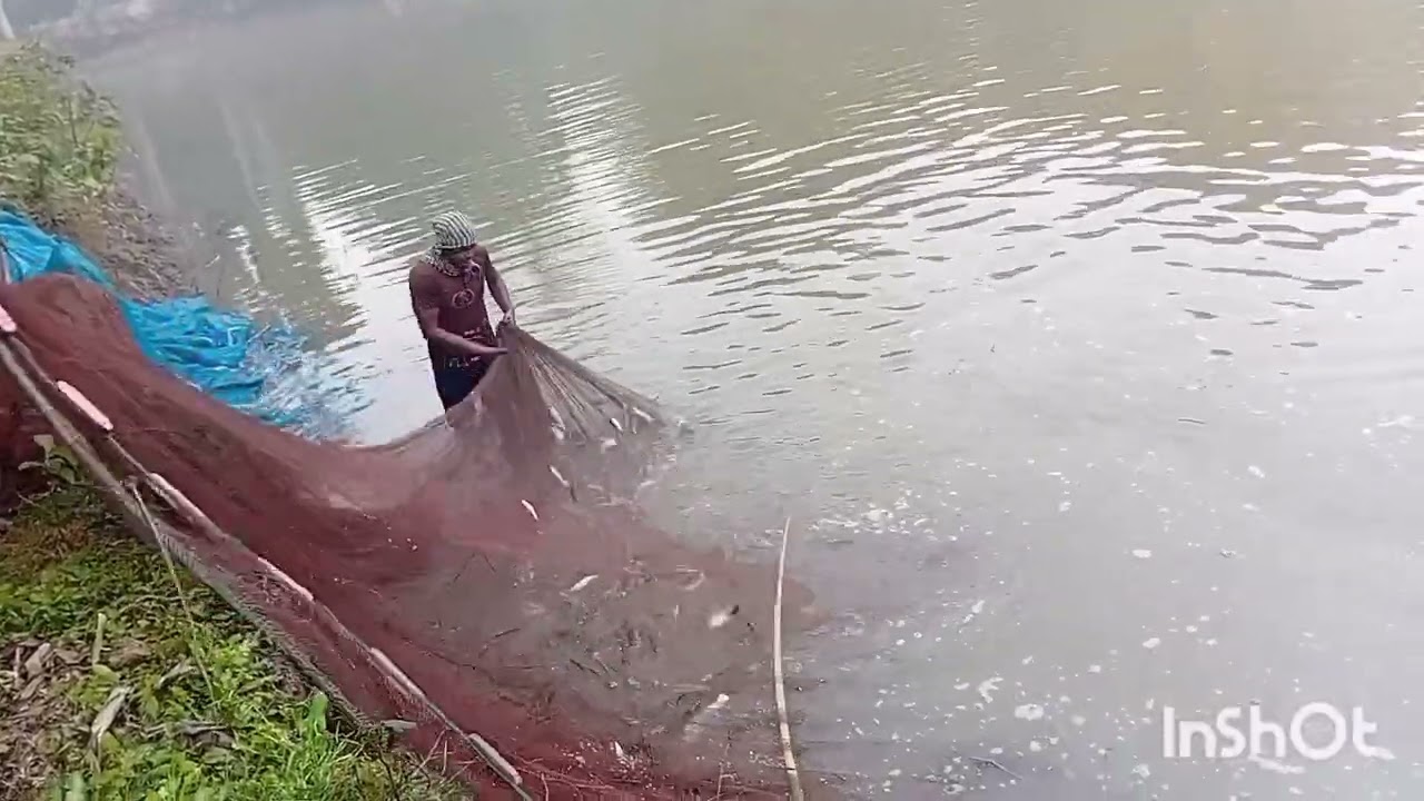 পোনা বিক্রি 