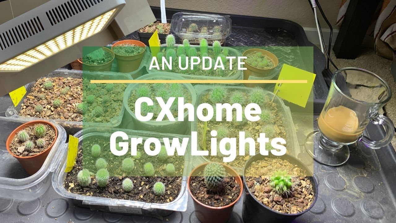 CXhome Growlight Update (Succulents and Cactus Seedlings)