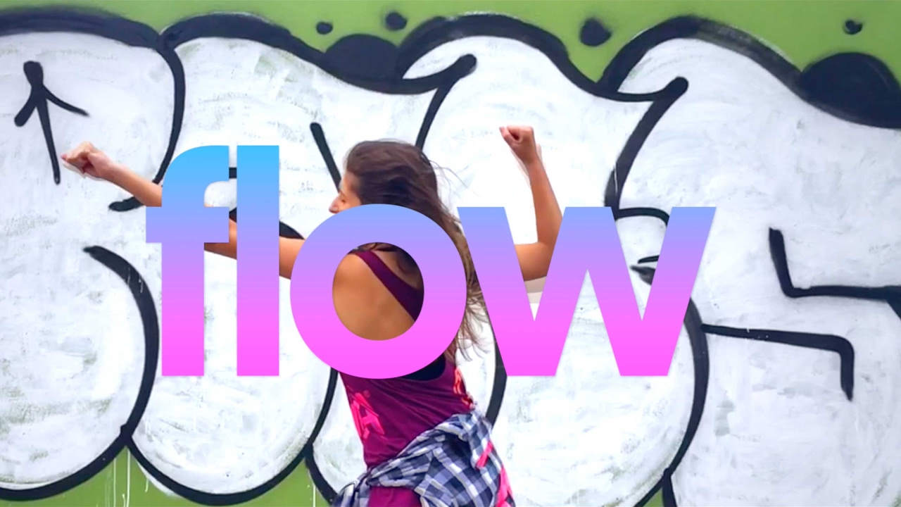 &iquest;QU&Eacute; ES EL ESTADO DE FLOW?