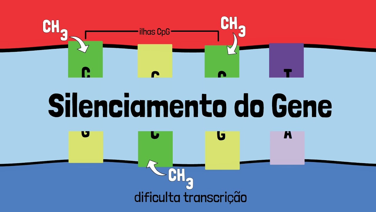 Epigenética