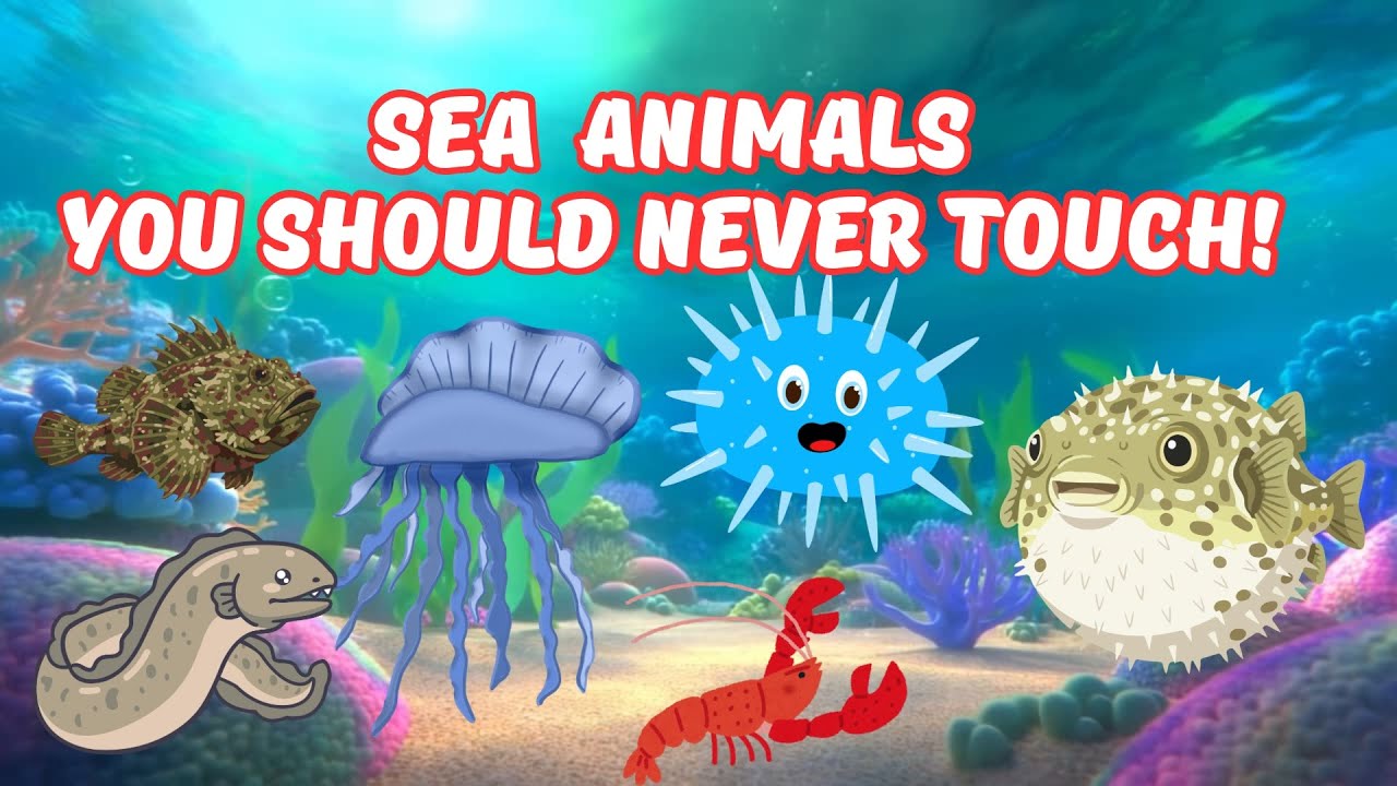 Детский путеводитель по опасным морским животным | Учитесь и будьте в безопасности! Весёлое и без...