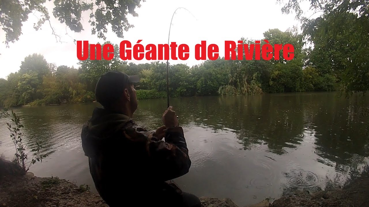 CARPE COMMUNE GEANTE DE RIVIERE SOUS LA PLUIE