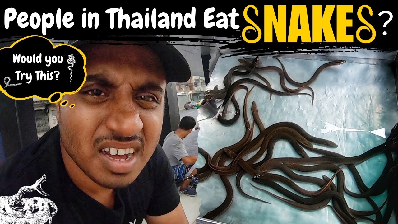 Действительно ли в Таиланде едят змей? 🐍🇹🇭 | Исследуем забытый королевский храм Бангкока