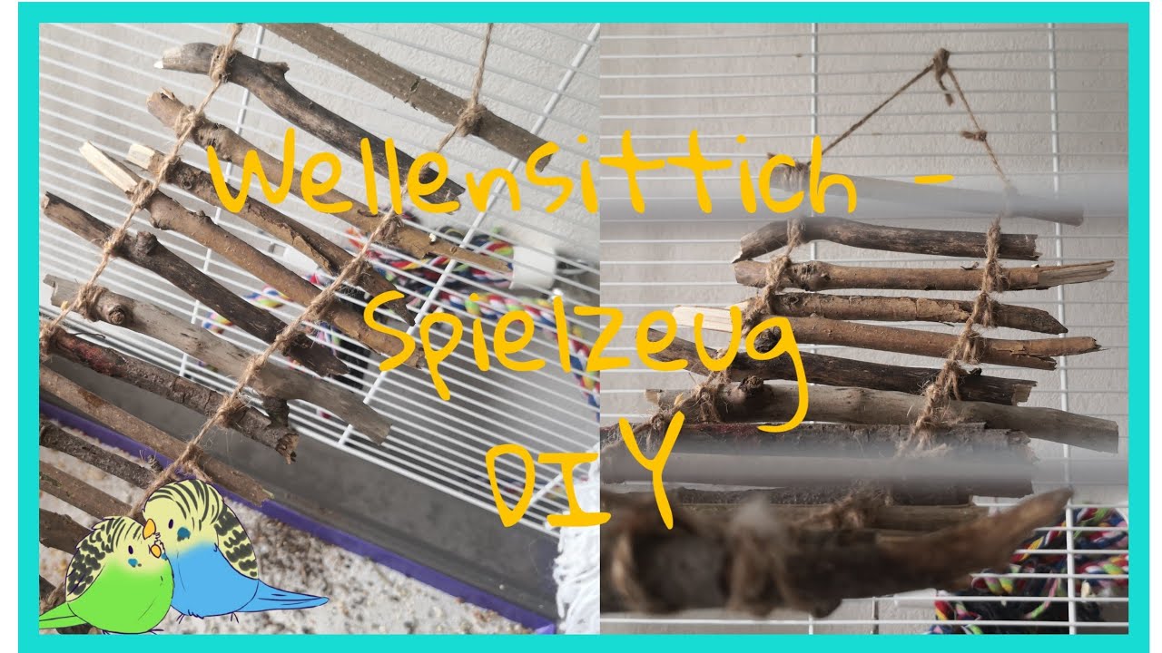Wellensittich Spielzeug DIY / Hängebrücke