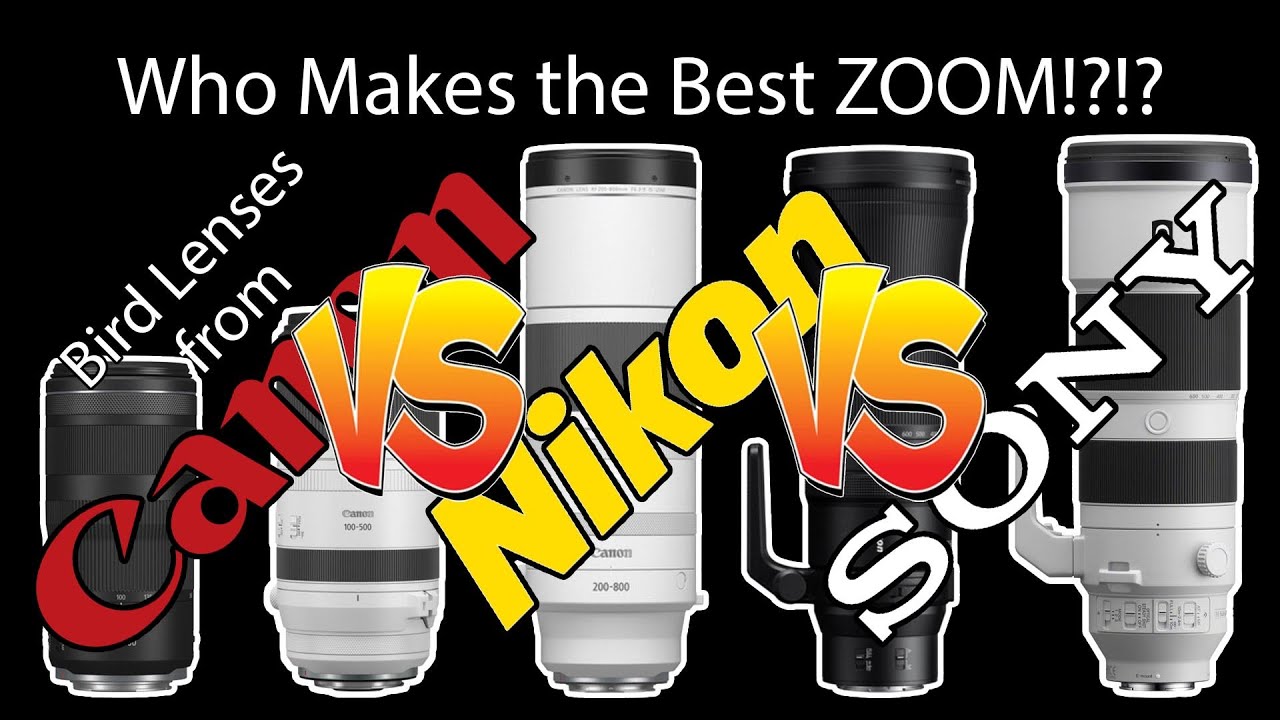 Five Telephoto Zoom Lenses Compared! 100-400 100-500 180-600 200-600 200-800 Canon Sony Nikon!