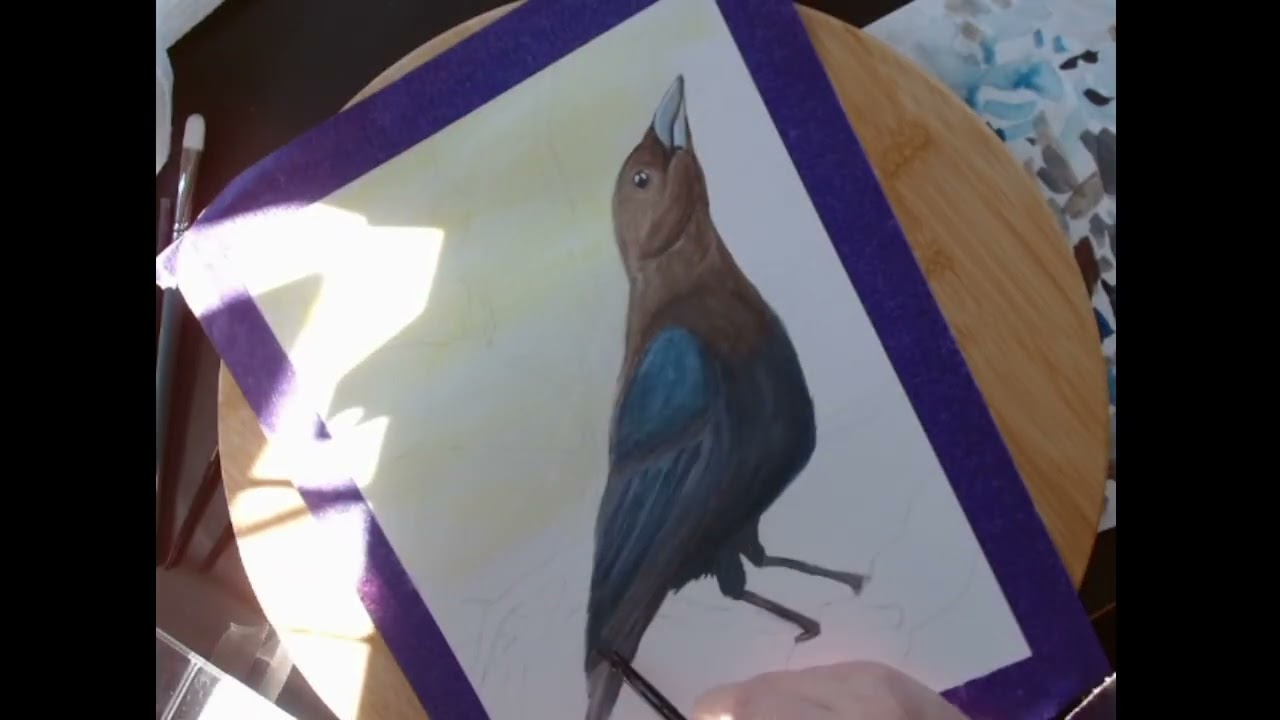 Cowbird March Bird Whisperer Project 2025 #art #timelapseart #traditionalart #bird #watercolor