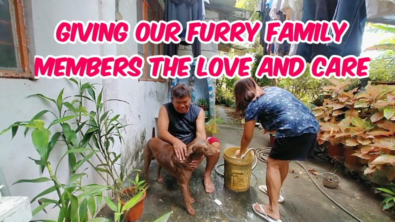 Giving our furry family members the love and care.