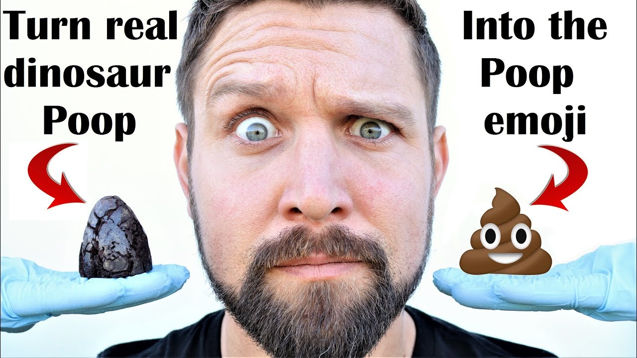 I Carve Petrified Dinosaur Poop (from What's Inside) Into The Poop Emoji (Dukey inception)