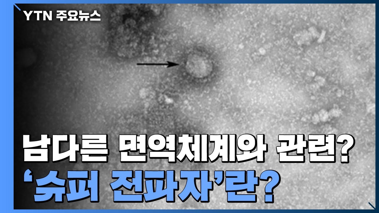 [앵커리포트] 