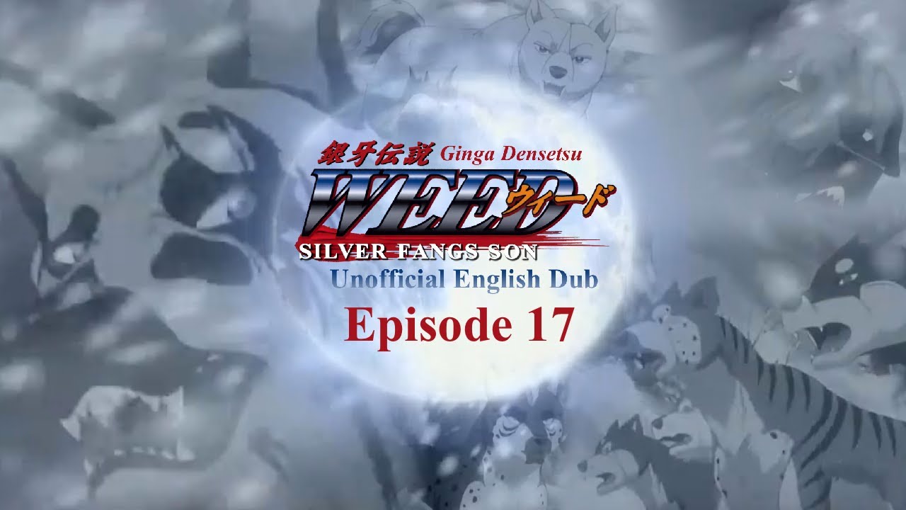 Ginga Densetsu Weed- Episode 17 (UNOFFICIAL ENGLISH DUB)