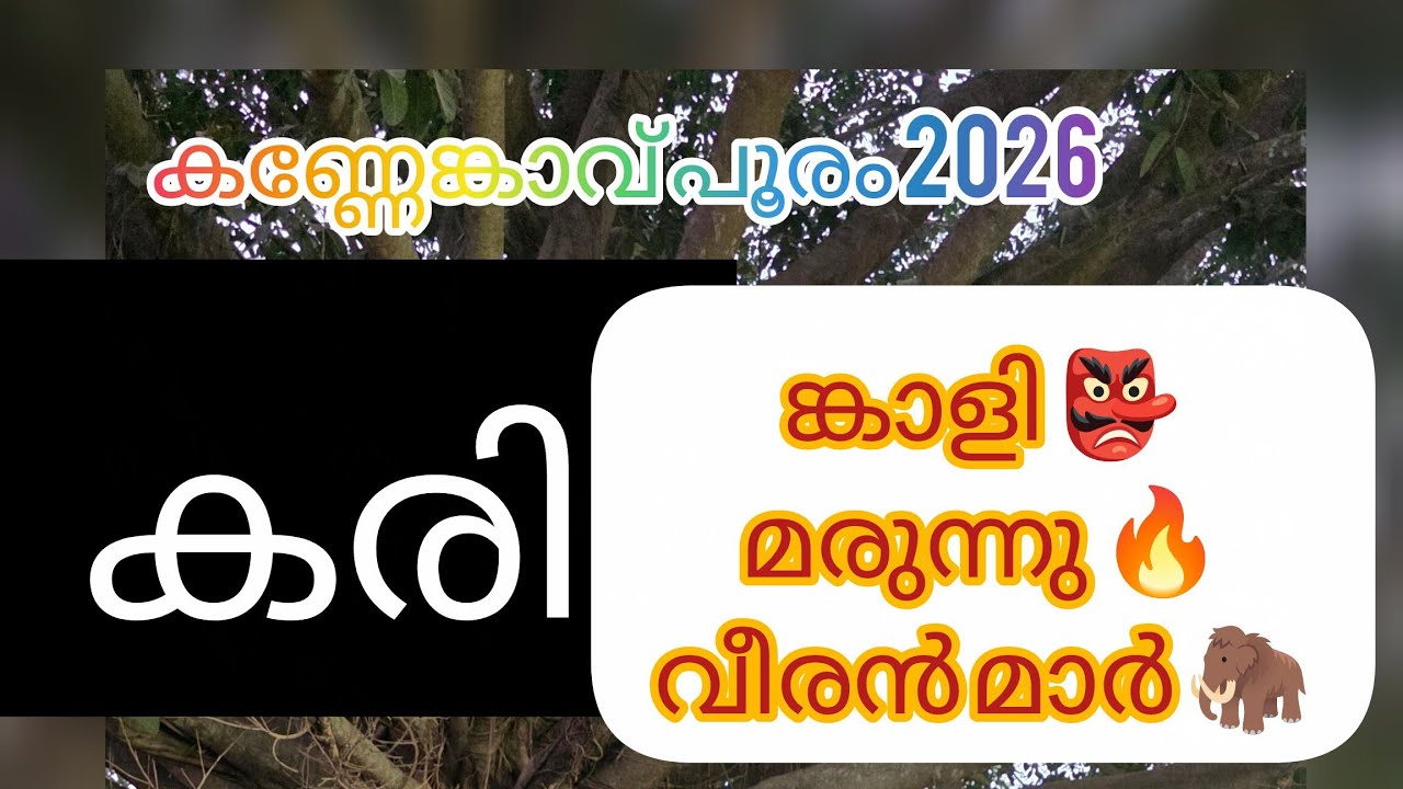 കരിങ്കാളിയും, കരിമരുന്നും കരിവീരൻ മാരും ചേർന്ന കണ്ണേങ്കാവ് പൂരം കാഴ്ചകൾ 😍#pooram 